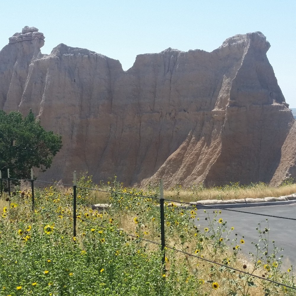 Meet your Posher, Liz